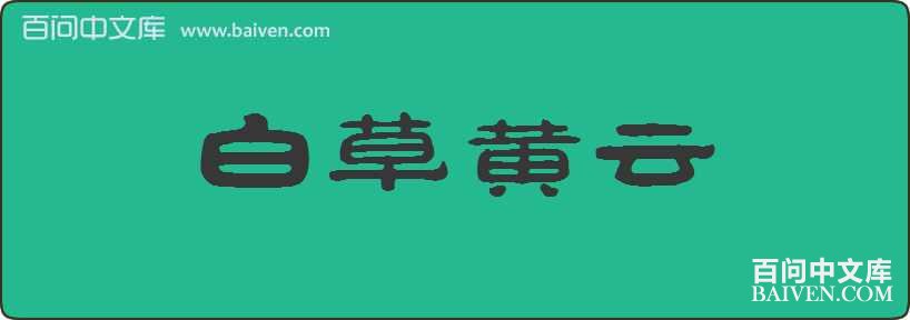 �ײݻ������