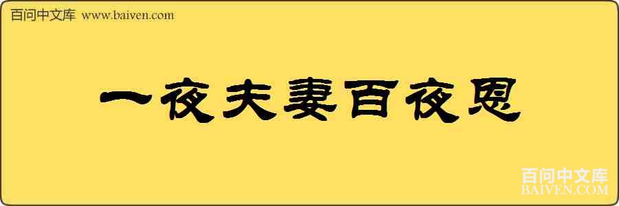 һҹ���ް�ҹ�����