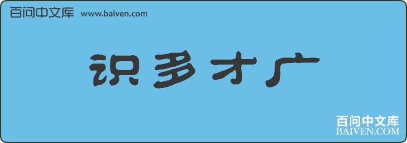 ʶ��Ź����