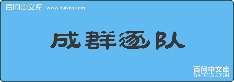 ��Ⱥ������