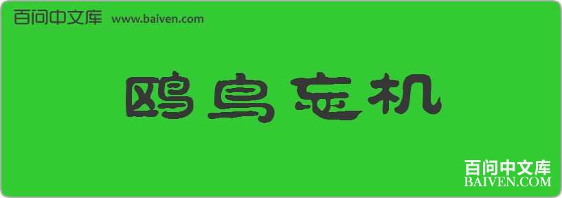 Ÿ���������