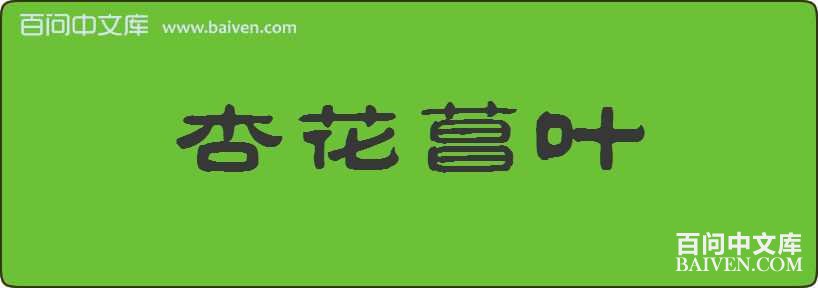 �ӻ���Ҷ���