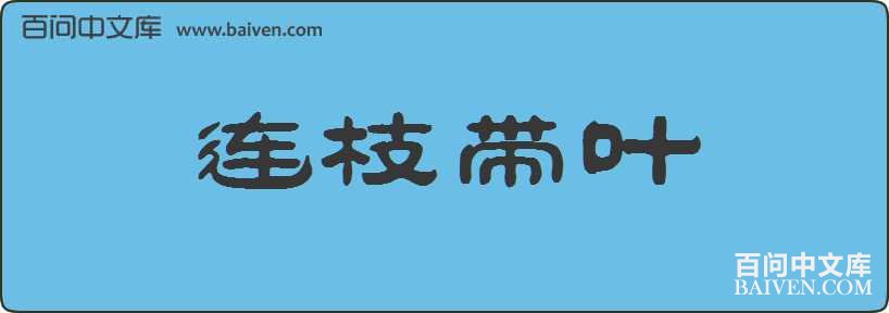 ��֦��Ҷ���