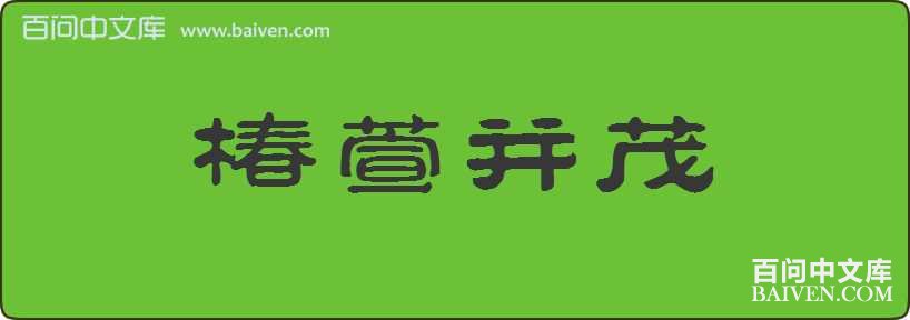 ���沢ï���