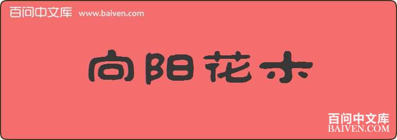 ������ľ���