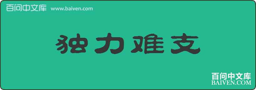 ������֧���