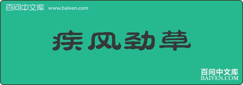 ���羢�����