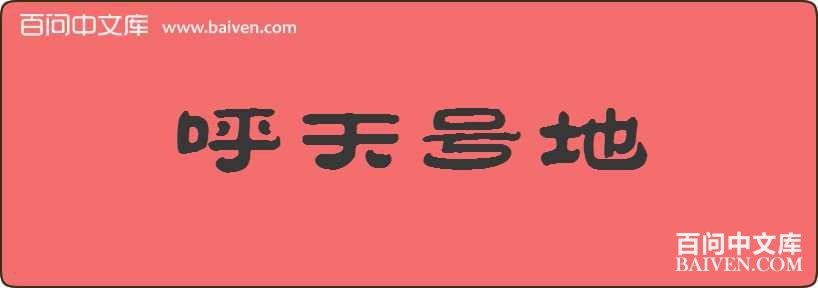 ����ŵ����