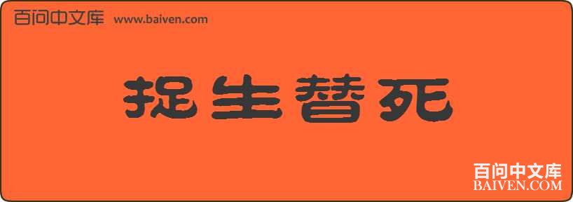 ׽���������