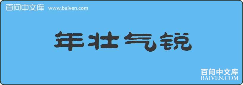 ��׳�������