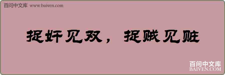 ׽���˫��׽���������