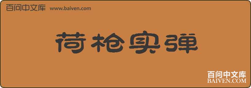 ��ǹʵ�����