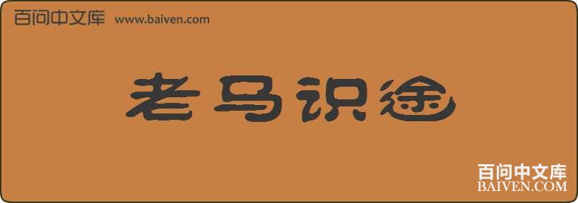 ����ʶ;���