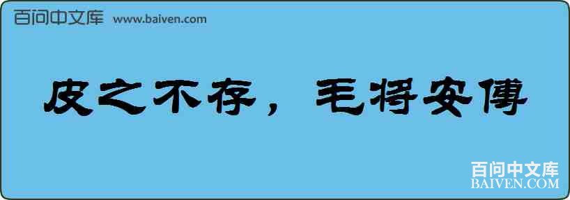 Ƥ֮���棬ë���������