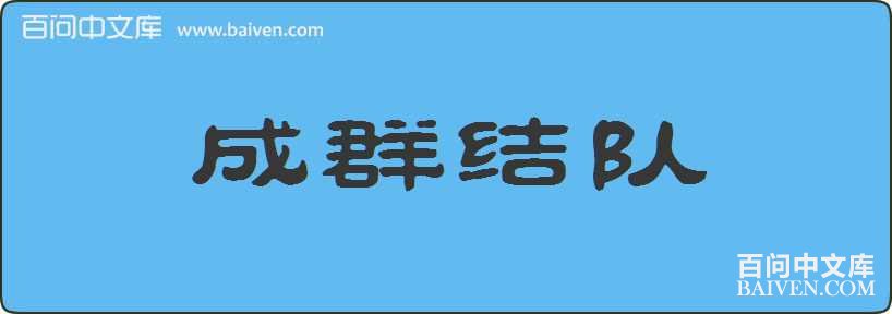 ��Ⱥ������