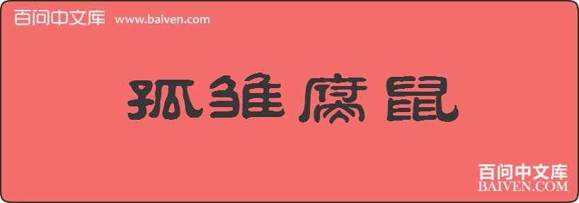 �³��������