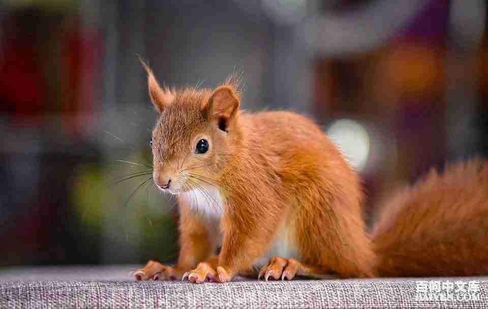 ���ʱ�Ц����Ц����ȫ