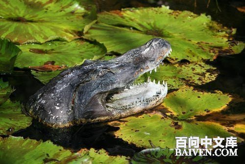 ���ʱ�Ц����Ц����ȫ