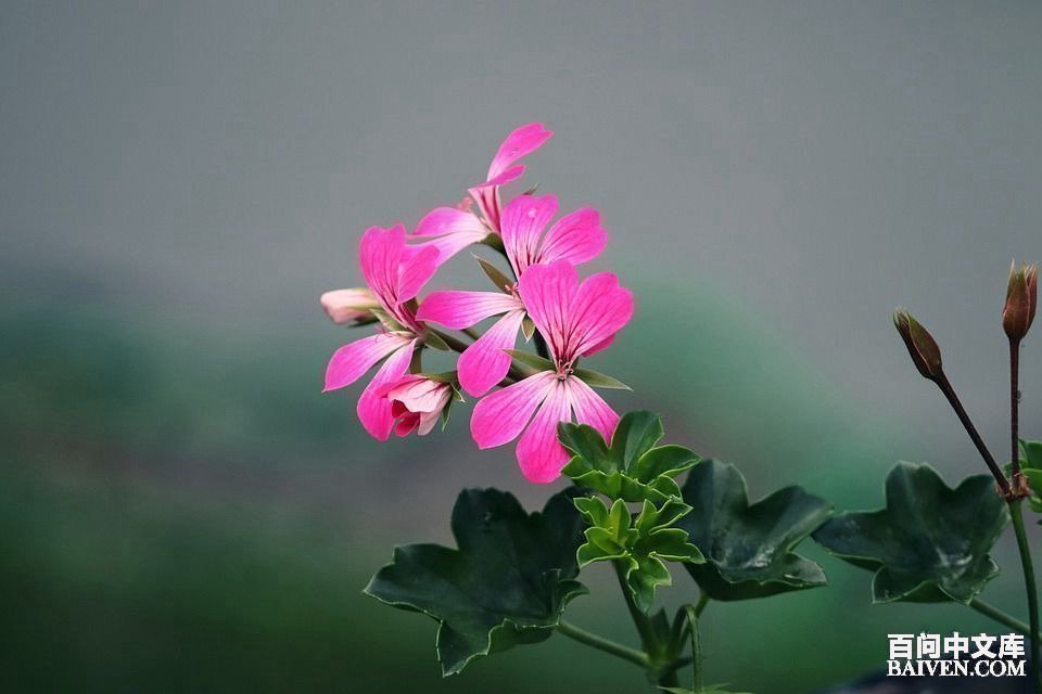 ���ʱ�Ц����Ц����ȫ