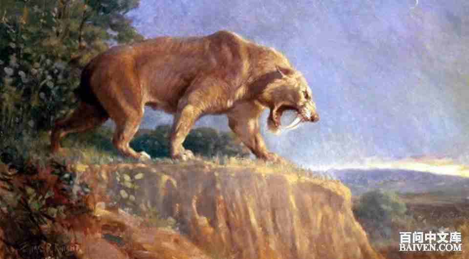 百问爆笑经典笑话大全