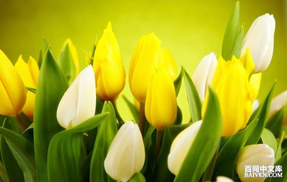 ���ʱ�Ц����Ц����ȫ