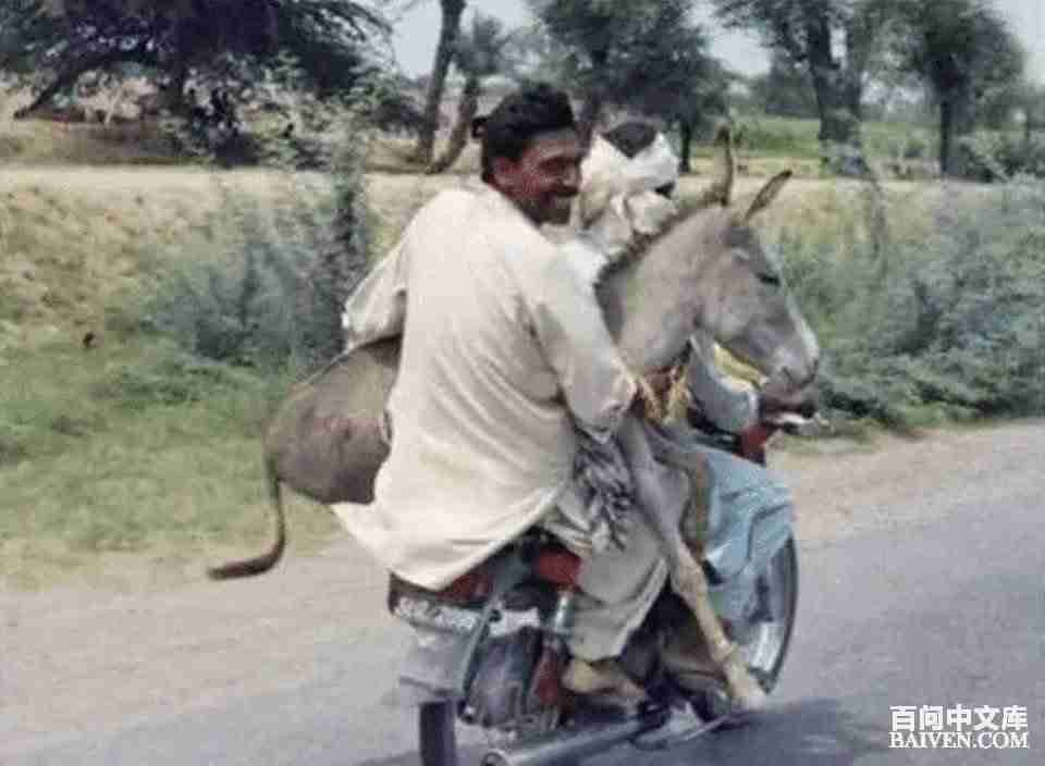 ���ʱ�Ц����Ц����ȫ