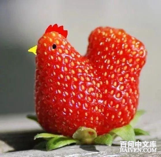 ���ʱ�Ц����Ц����ȫ