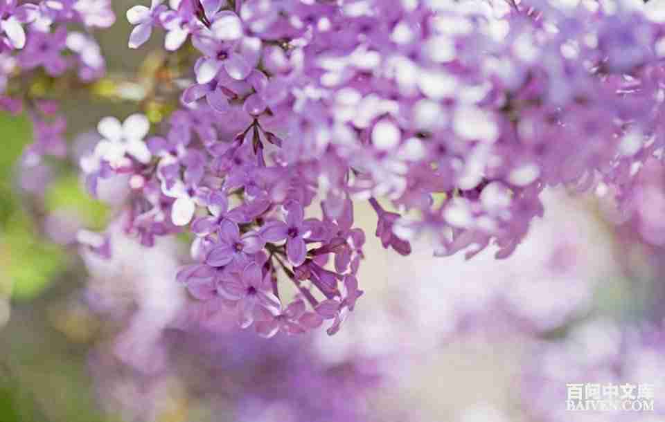 ���ʱ�Ц����Ц����ȫ