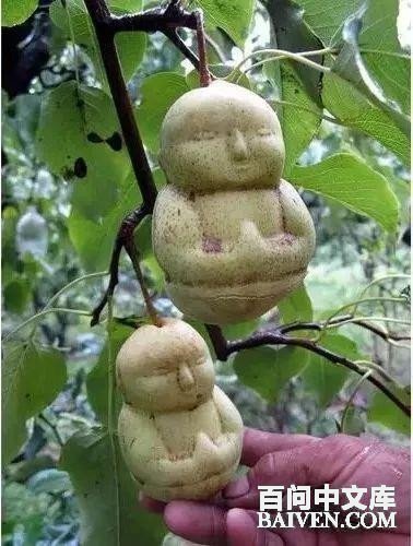 百问爆笑经典笑话大全