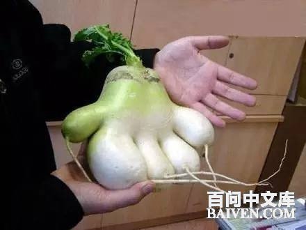 百问爆笑经典笑话大全