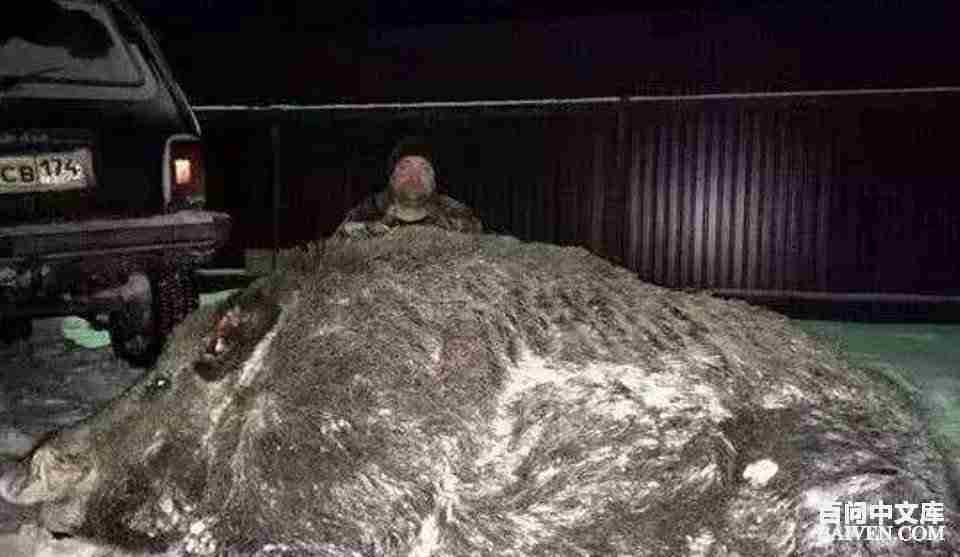 °ÙÎʱ¬Ð¦¾µäЦ»°´óÈ«