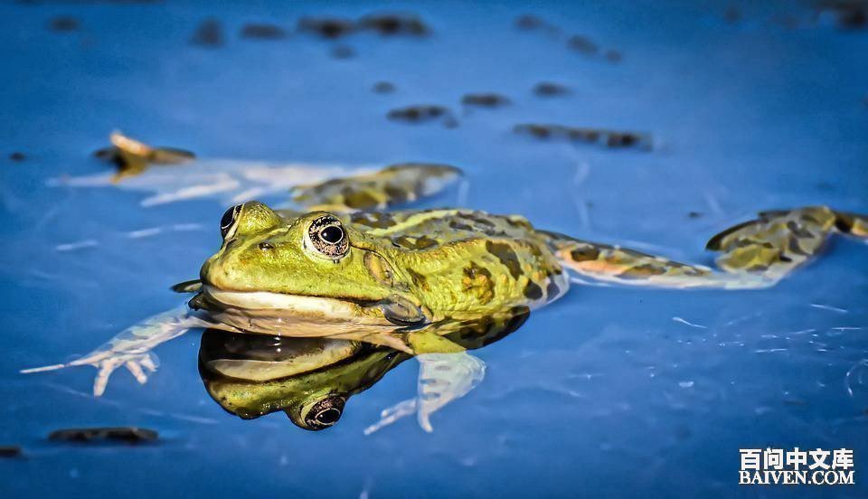 百问爆笑经典笑话大全