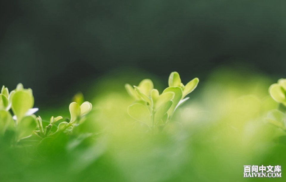 ���ʱ�Ц����Ц����ȫ