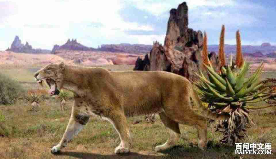 ���ʱ�Ц����Ц����ȫ