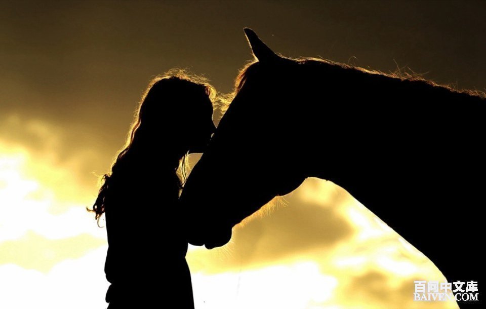 百问爆笑经典笑话大全