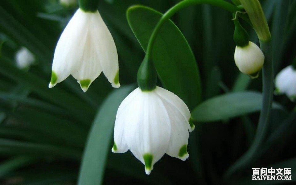 ���ʱ�Ц����Ц����ȫ