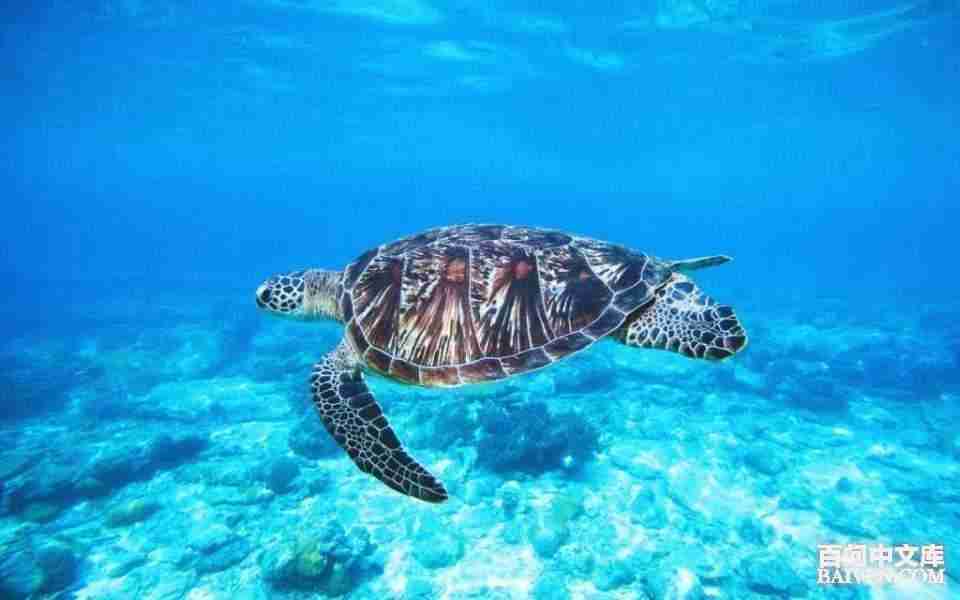 ���ʱ�Ц����Ц����ȫ