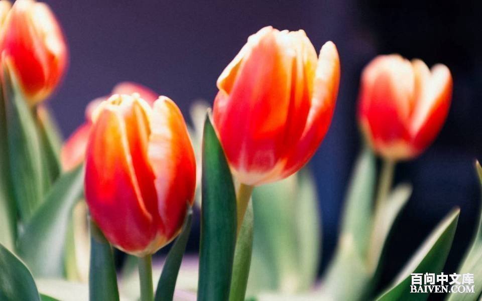 ���ʱ�Ц����Ц����ȫ