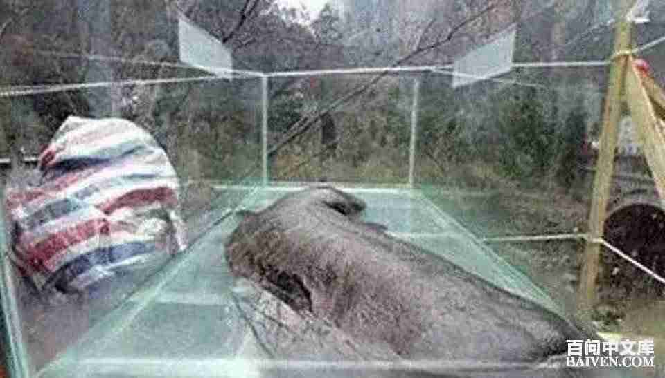 ���ʱ�Ц����Ц����ȫ