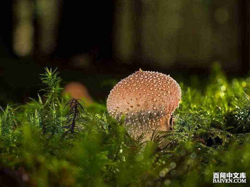 ���ʱ�Ц����Ц����ȫ