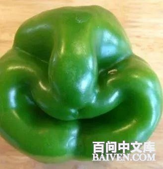 ���ʱ�Ц����Ц����ȫ