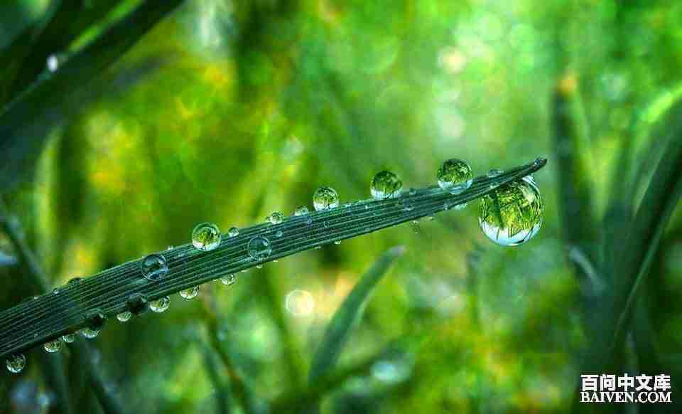 百问爆笑经典笑话大全