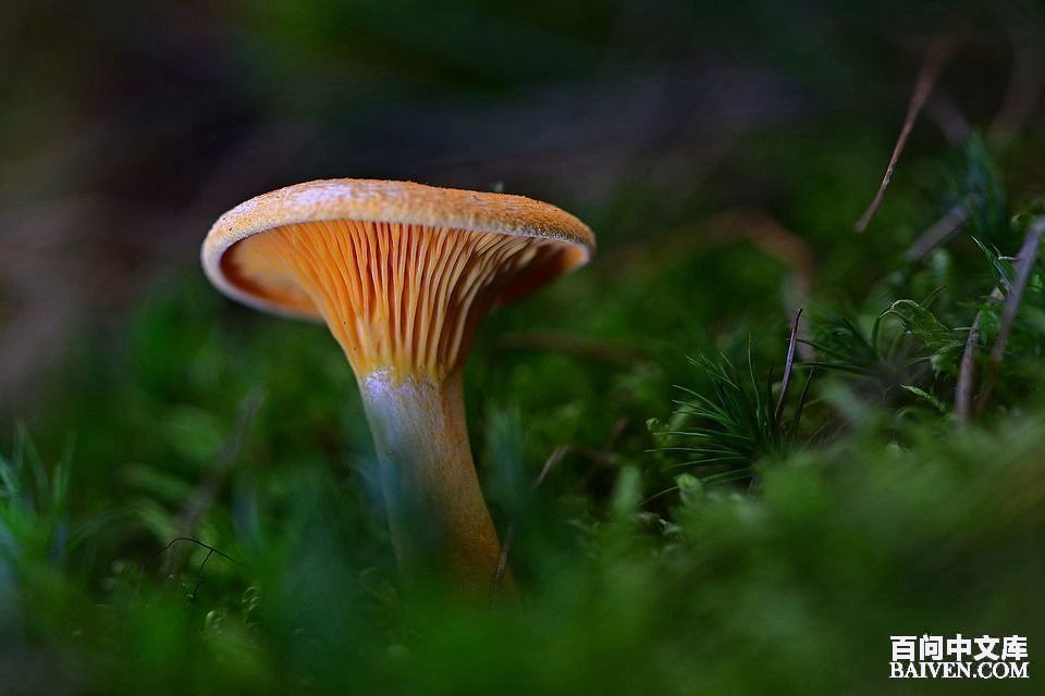 ���ʱ�Ц����Ц����ȫ