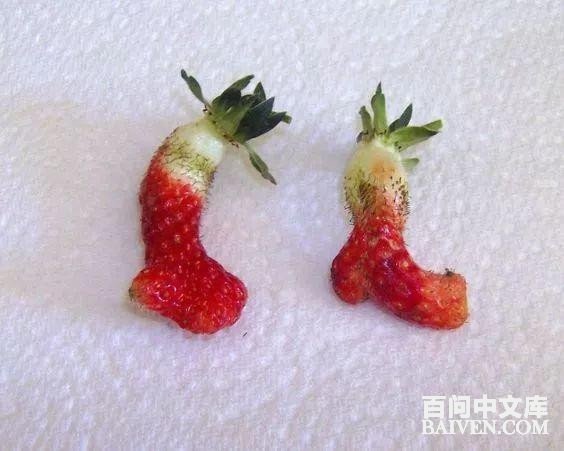 百问爆笑经典笑话大全