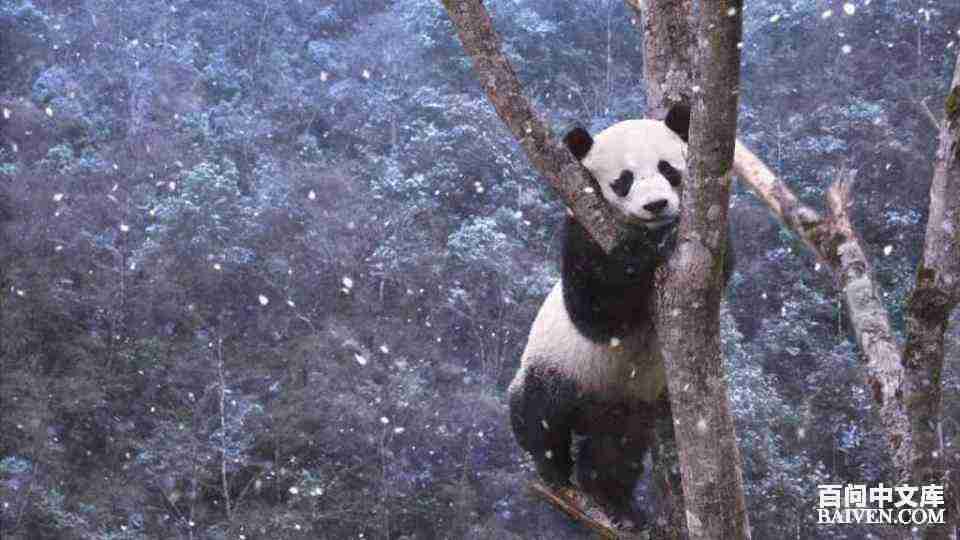 ���ʱ�Ц����Ц����ȫ