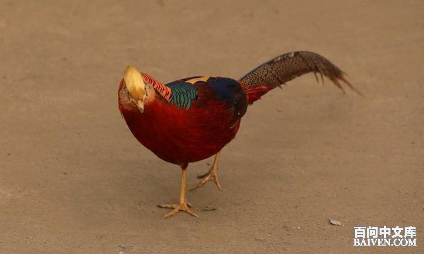 ���ʱ�Ц����Ц����ȫ