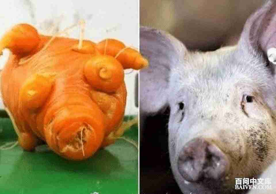 °ÙÎʱ¬Ð¦¾µäЦ»°´óÈ«