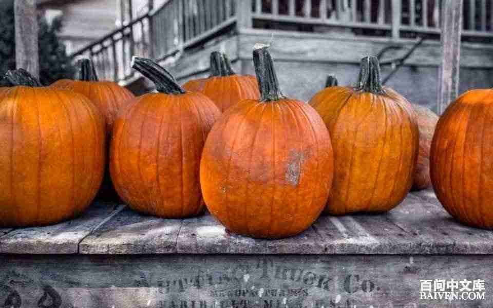 百问爆笑经典笑话大全