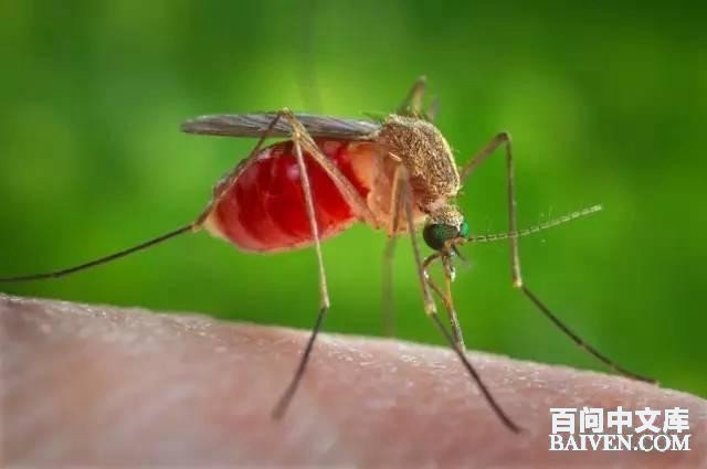 ���ʱ�Ц����Ц����ȫ