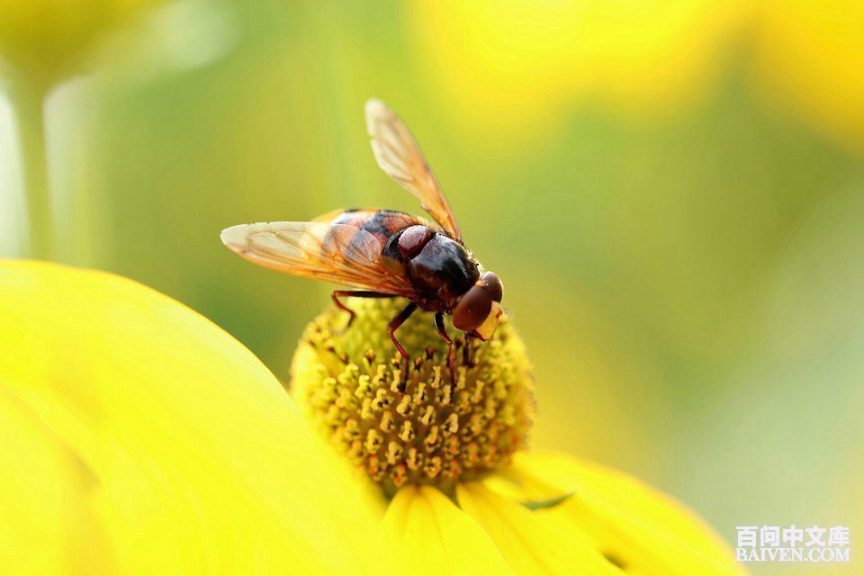 百问爆笑经典笑话大全